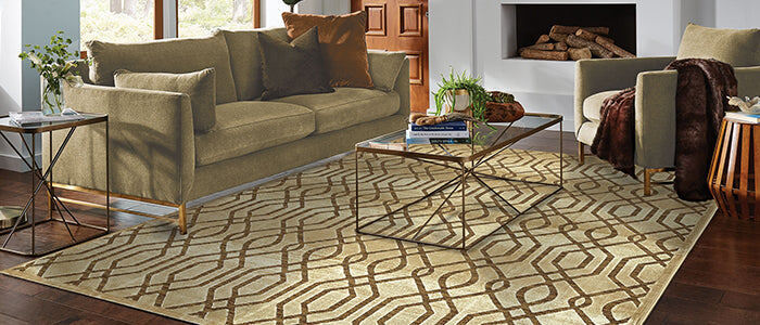 gold transitional rug